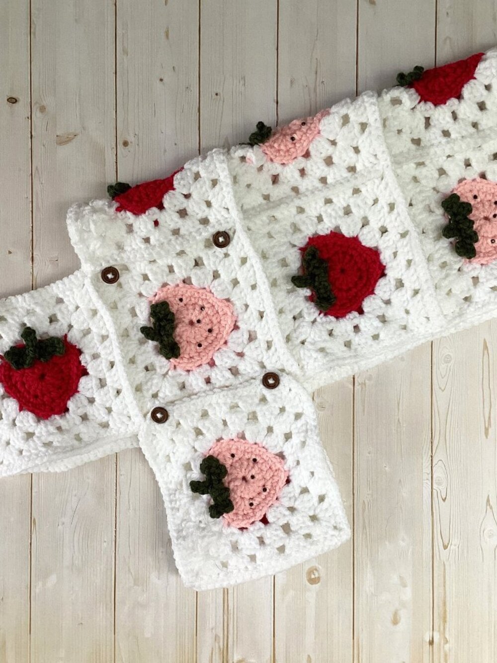 Handmade Crocheted Dog Coat with Strawberries (Size Small/Medium)